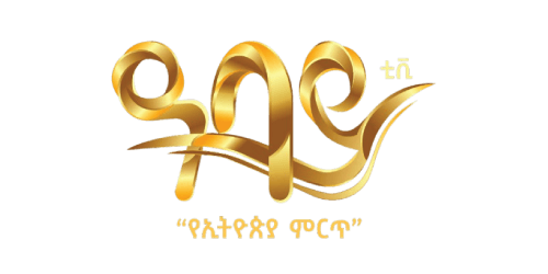 Abay TV