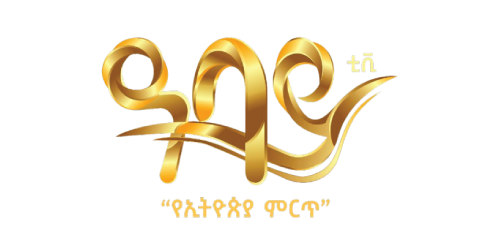 Abay TV